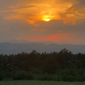 Meet your Posher, Reese